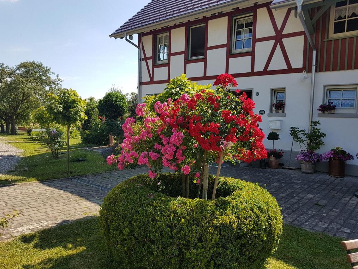 Landgut Apfelrose Hotel Friedrichshafen Exterior photo